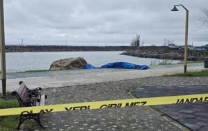 На узбережжі Туреччини виявили двометровий дрон