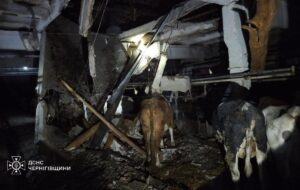 РФ атакувала сільгосппідприємство на Чернігівщині