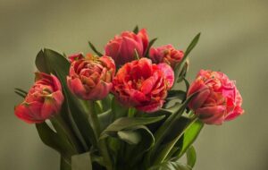 Свята 10 березня 2026: які заборони та події