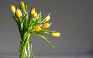 Свята 12 березня 2026: історія, традиції, прикмети