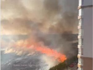 У Софіївській Борщагівці вирує масштабна пожежа