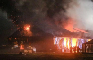 В Нідерландах загинули близько тисячі кіз під час пожежі на фермі