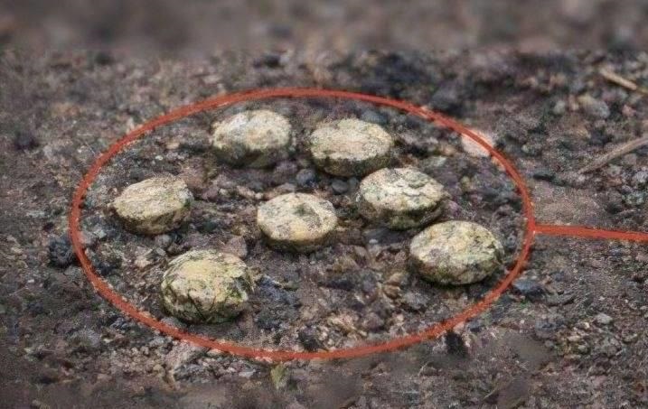 Росіяни дистанційно замінували школу у Херсоні