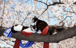 Синоптики повідомили, коли в Україну вернеться тепло