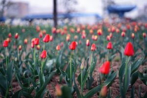 Українців попередили про похолодання