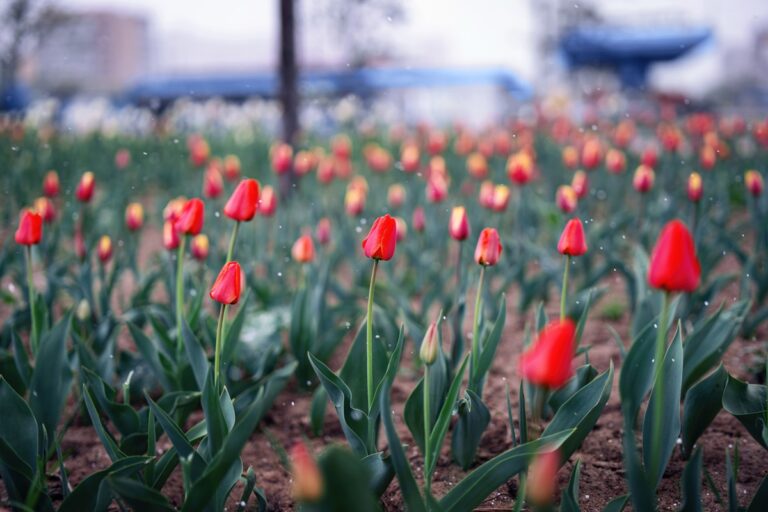 Українців попередили про різке похолодання