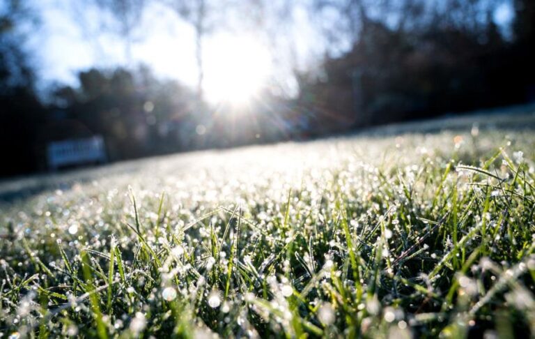 В Україну повертаються заморозки і мокрий сніг