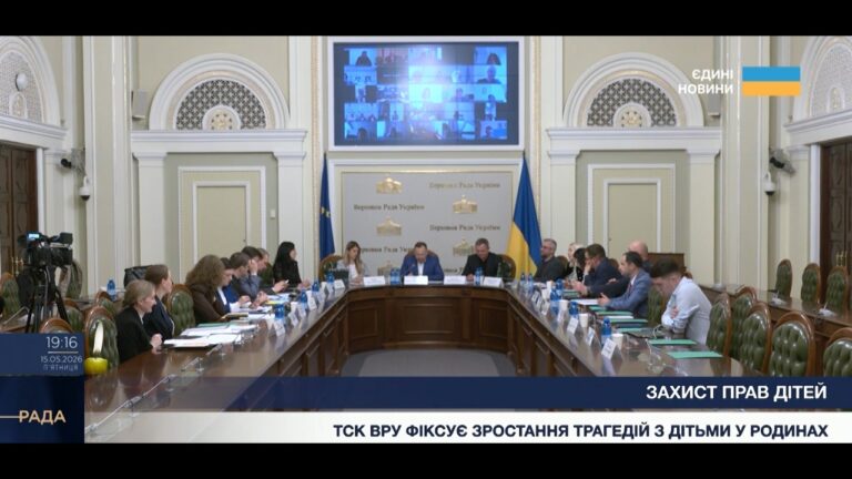 Безпека дітей у родинах: результати роботи парламентського ТСК
