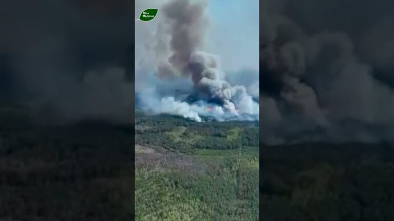 ГОРИТЬ ЛІС, ДО ЯКОГО ЛІСІВНИКИ НЕ МАЮТЬ ДОСТУПУ: на кордоні з рф палає 2400 гектарів лісу