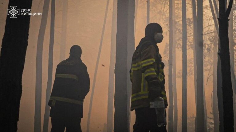 Пожежа в Чорнобильській зоні: експерти оцінили рівень радіації