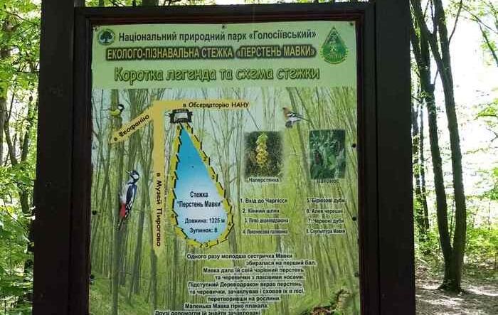 У Києві відкрили нову дитячу екостежку в Голосіївському лісі