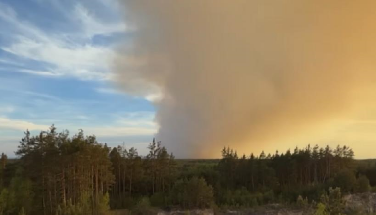 У Польщі під час гасіння лісової пожежі розбився літак
