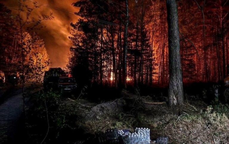 У Зоні відчуження триває ліквідація лісової пожежі