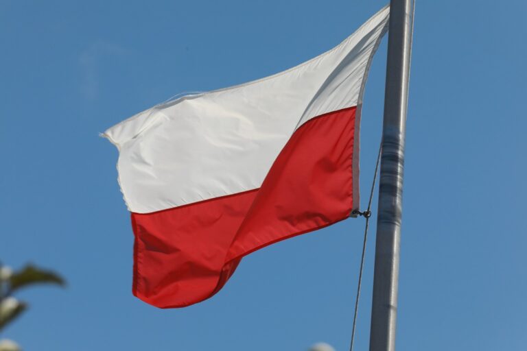 У Польщі викрили мережу впливу на українських біженців