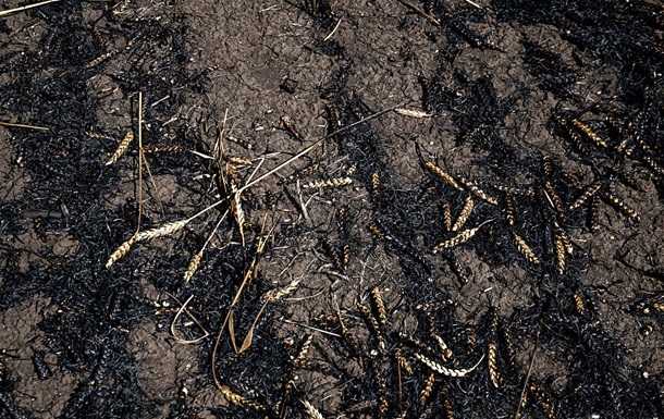На Запоріжжі росіяни атакували комбайн у полі: є поранені